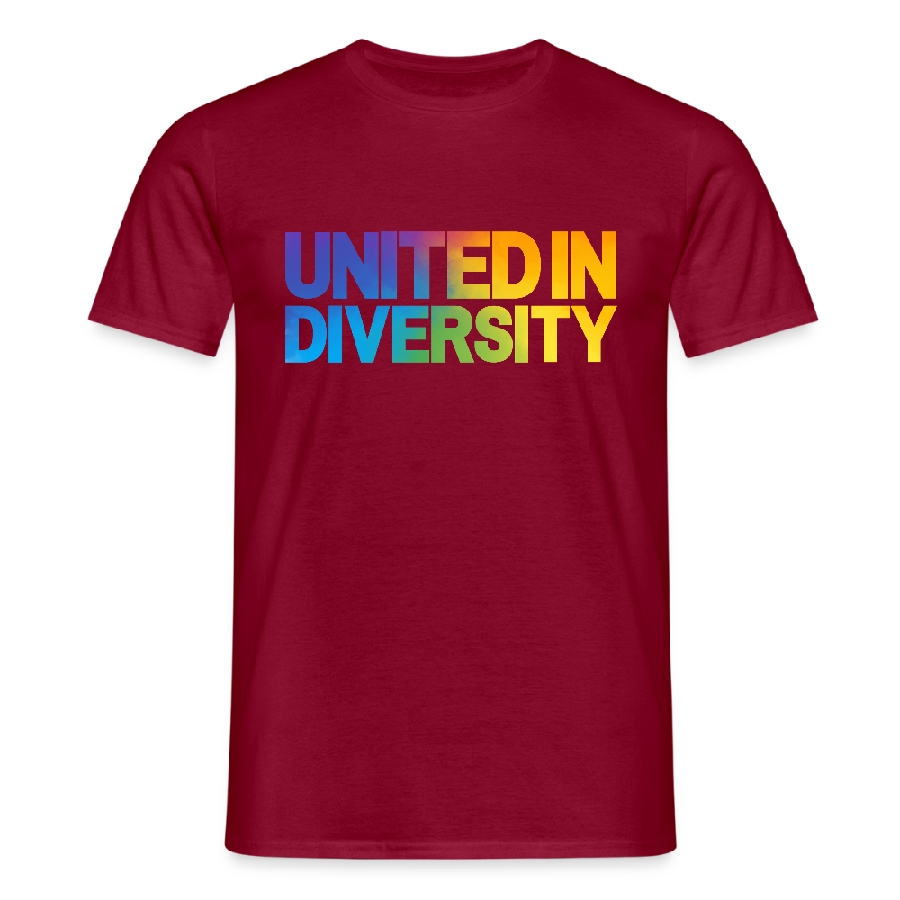 Men's T-Shirt - "United in Diversity - LGBTQ" - brick red
