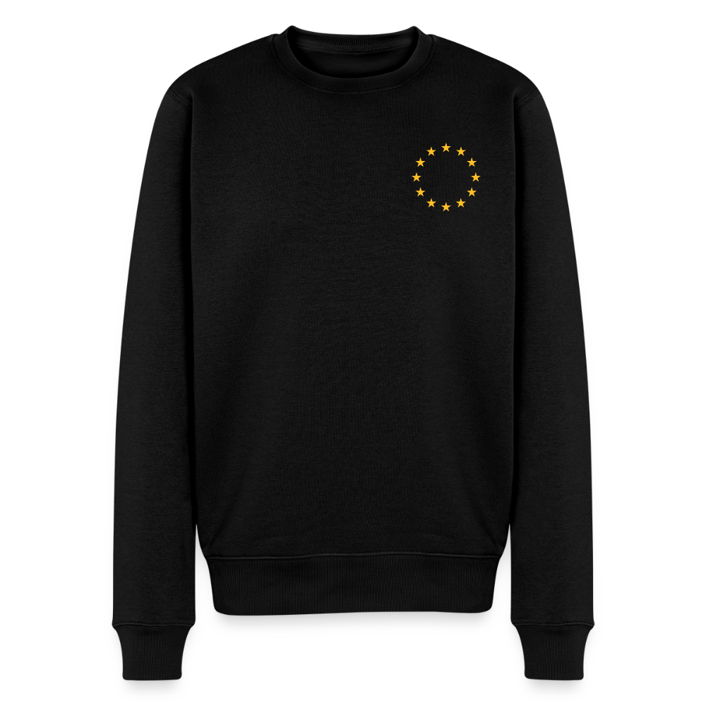 "12-stars-mini" - Männer Premium Pullover - black