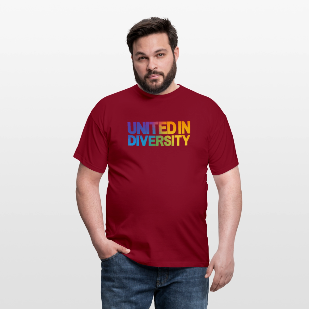 Men's T-Shirt - "United in Diversity - LGBTQ" - brick red
